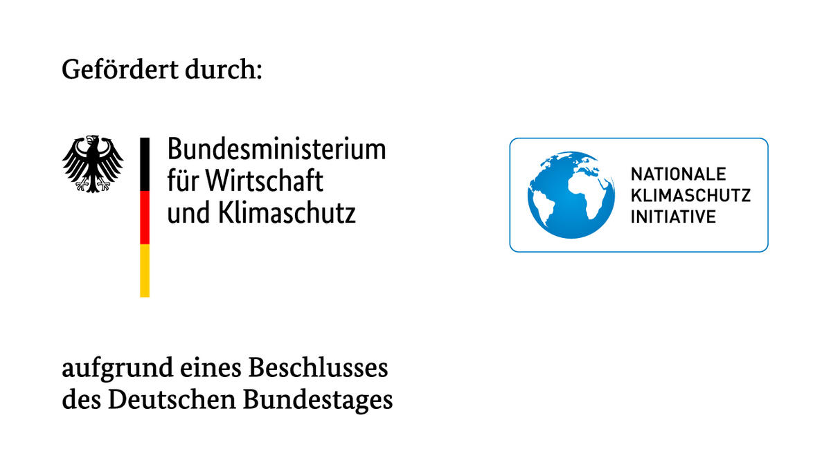 Nationale Klimaschutzinitiative Nationale Klimaschutzinitiative