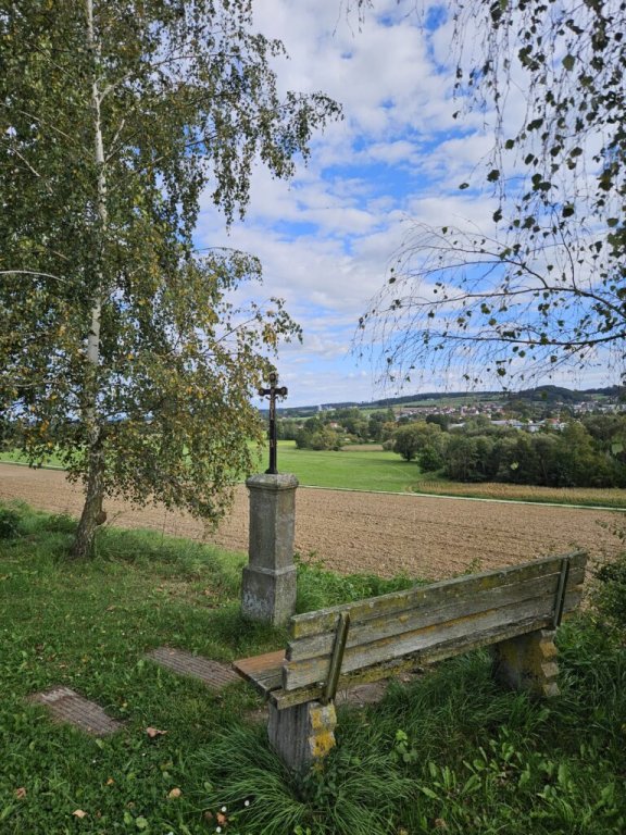 Den Ausblick genossen – Naturerlebnis-Wanderung der Gemeinde Roßbach führt über den Kronwittberg